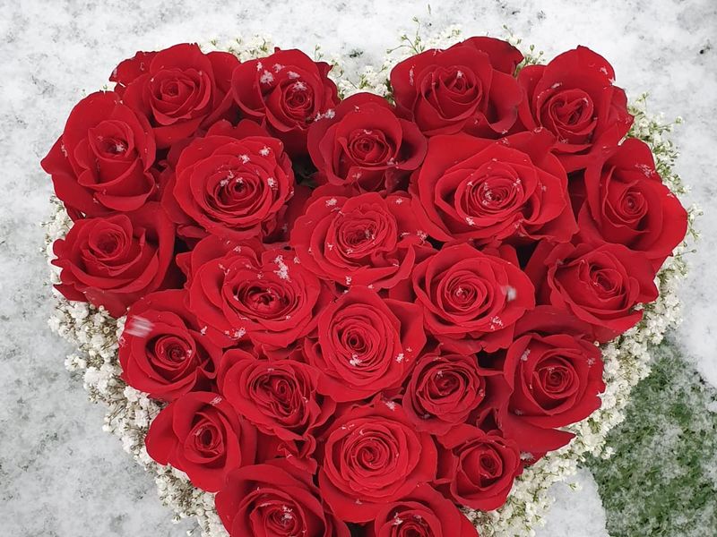 Idee regalo